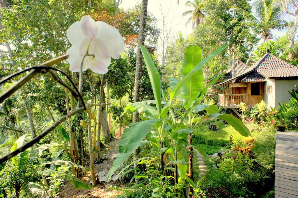 Prashanti Bali Ubud Esterno foto
