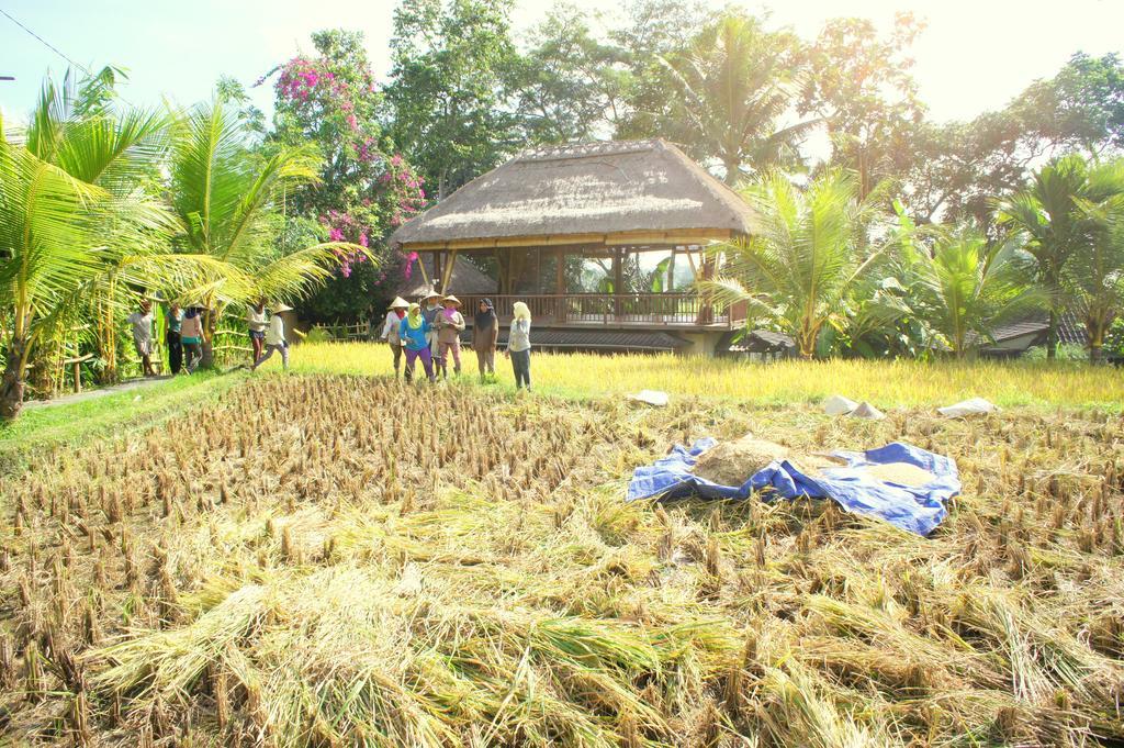 Prashanti Bali Ubud Esterno foto