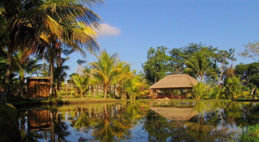 Prashanti Bali Ubud Esterno foto