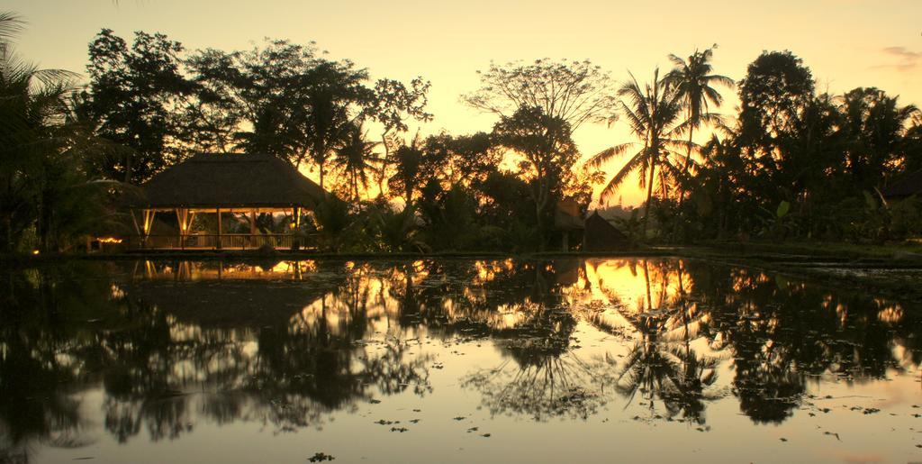 Prashanti Bali Ubud Esterno foto