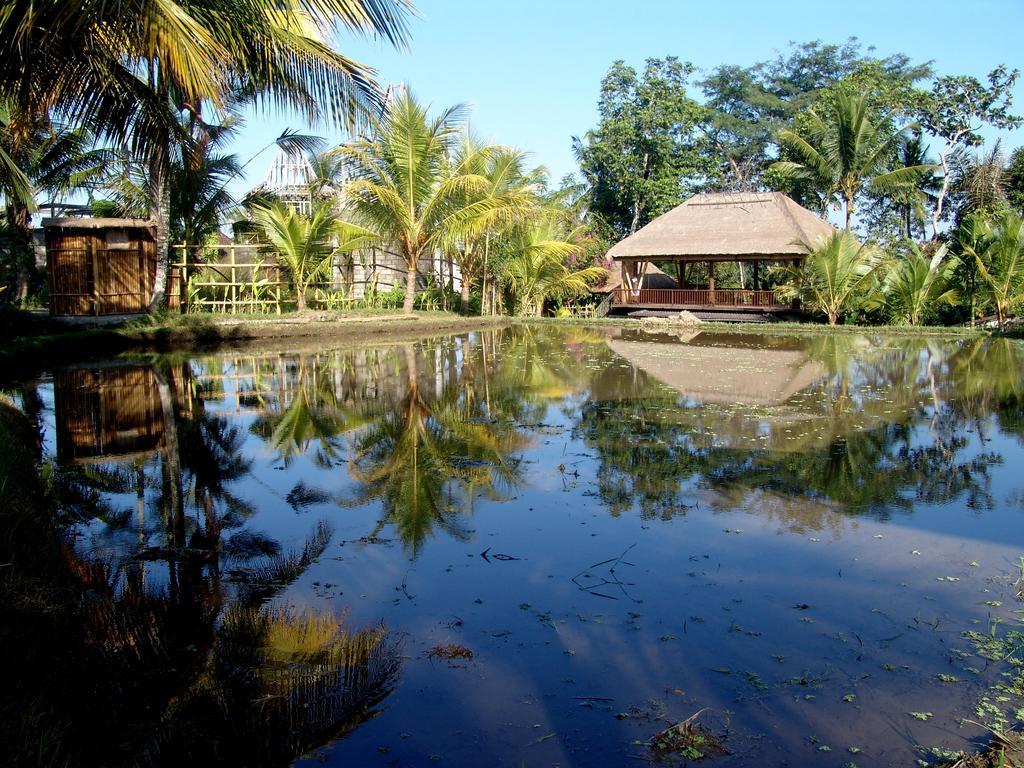 Prashanti Bali Ubud Esterno foto
